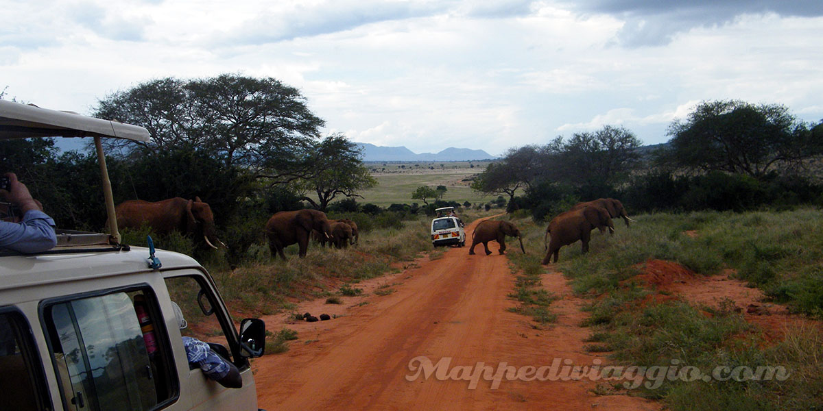 Diario del safari in Kenya 1