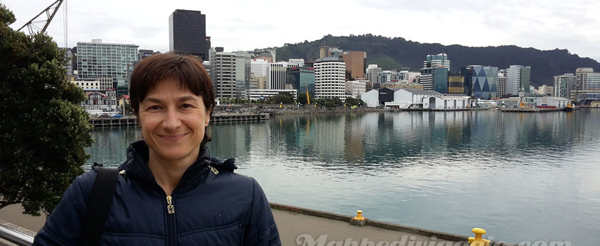 Mini-guida a Wellington: benvenuti nella Terra di Mezzo