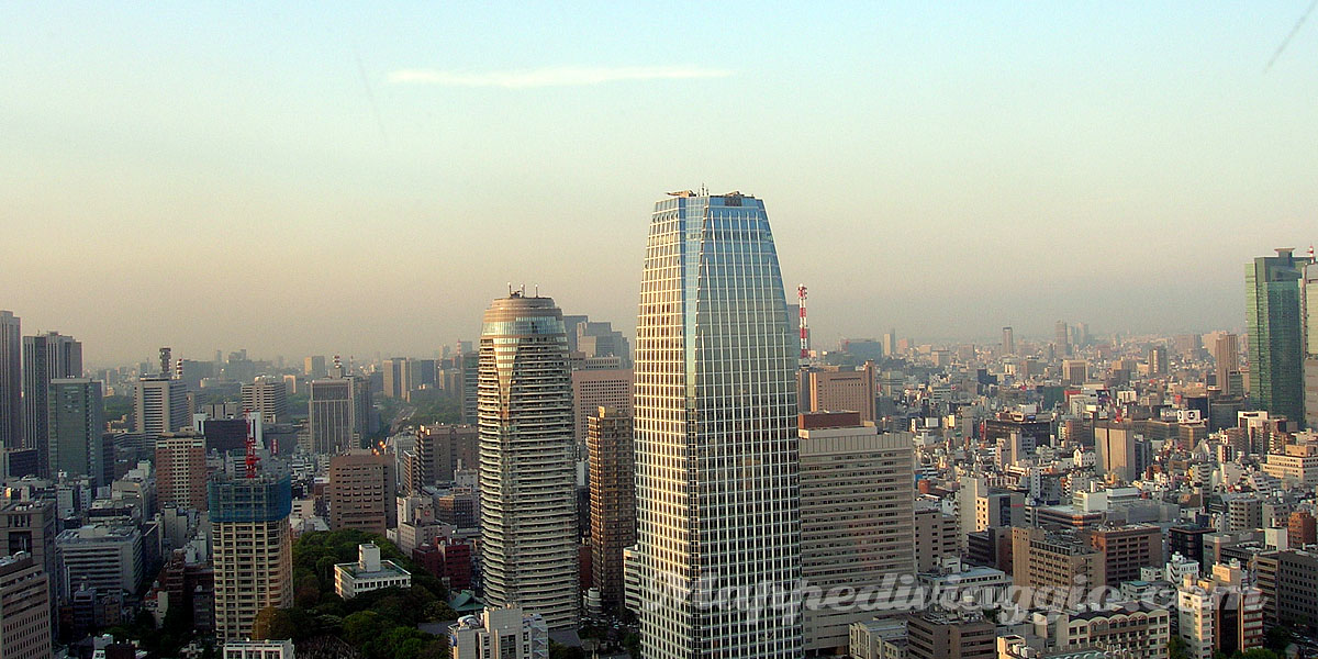 panorama-torre-tokyo