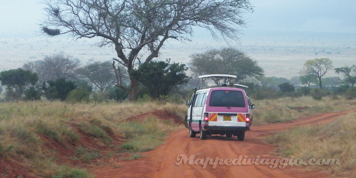 Diario del safari in Kenya 3