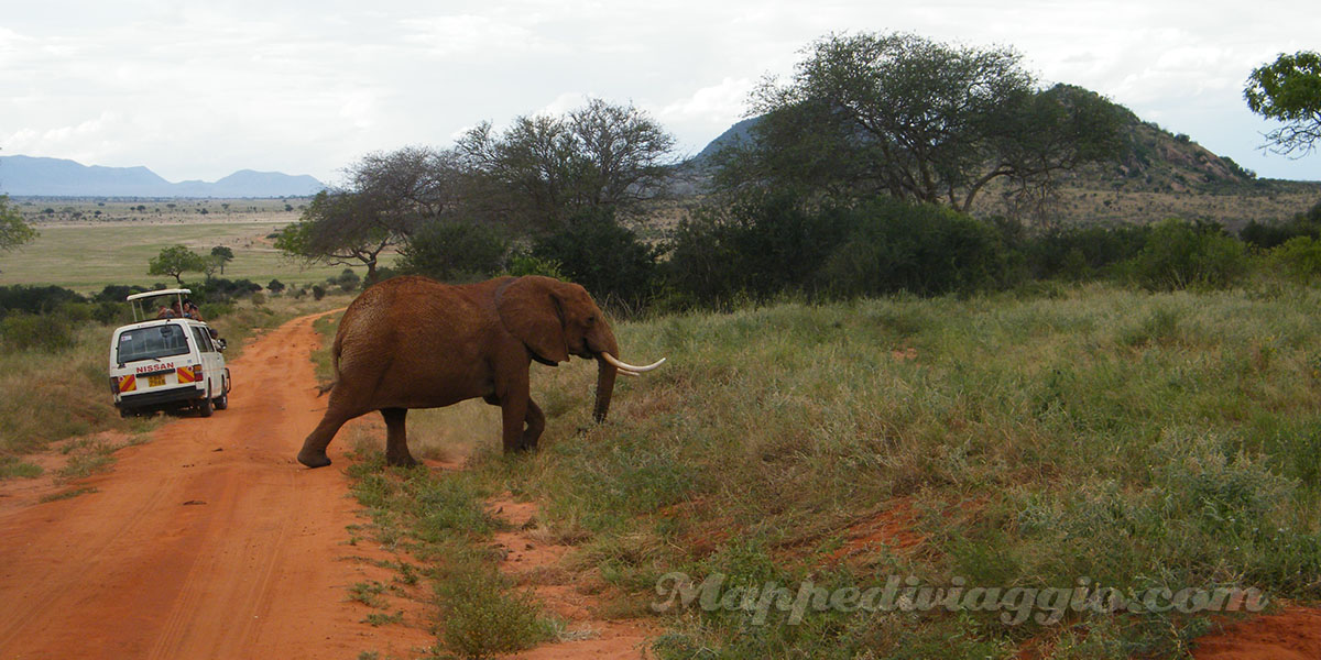Diario del safari in Kenya 2
