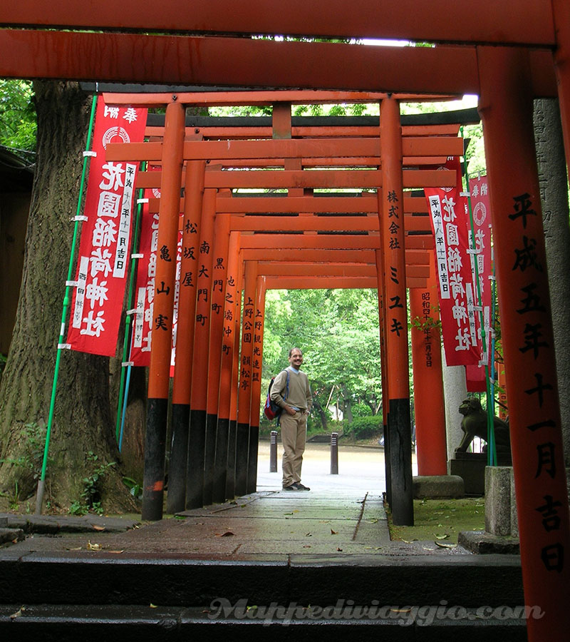 torii-rossi-tokyo