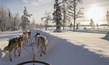 Tour di gruppo in Lapponia e Rovaniemi (4 giorni, novembre 2018)